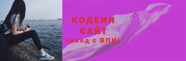 spice Богородск