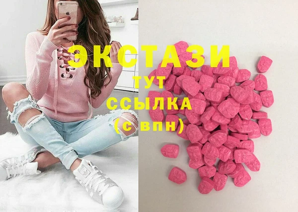spice Богородск