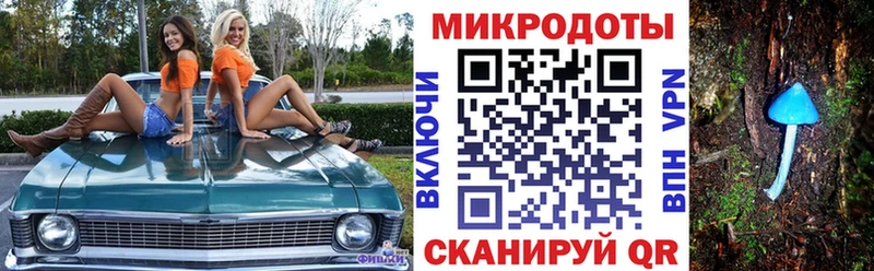 Псилоцибиновые грибы Cubensis  как найти наркотики  Кизел 